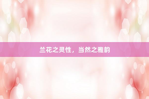 兰花之灵性，当然之雅韵