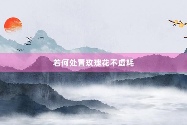 若何处置玫瑰花不虚耗