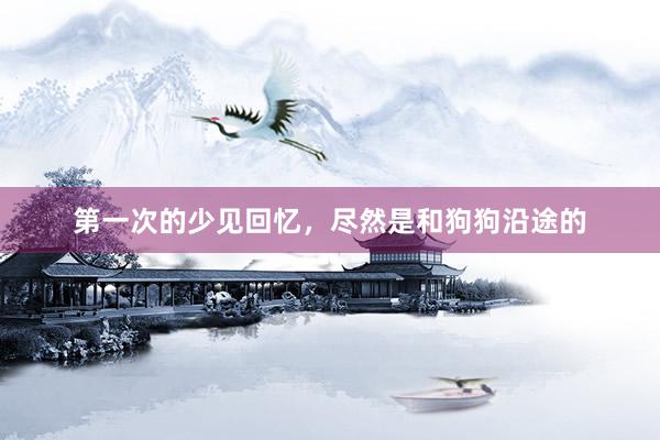 第一次的少见回忆，尽然是和狗狗沿途的